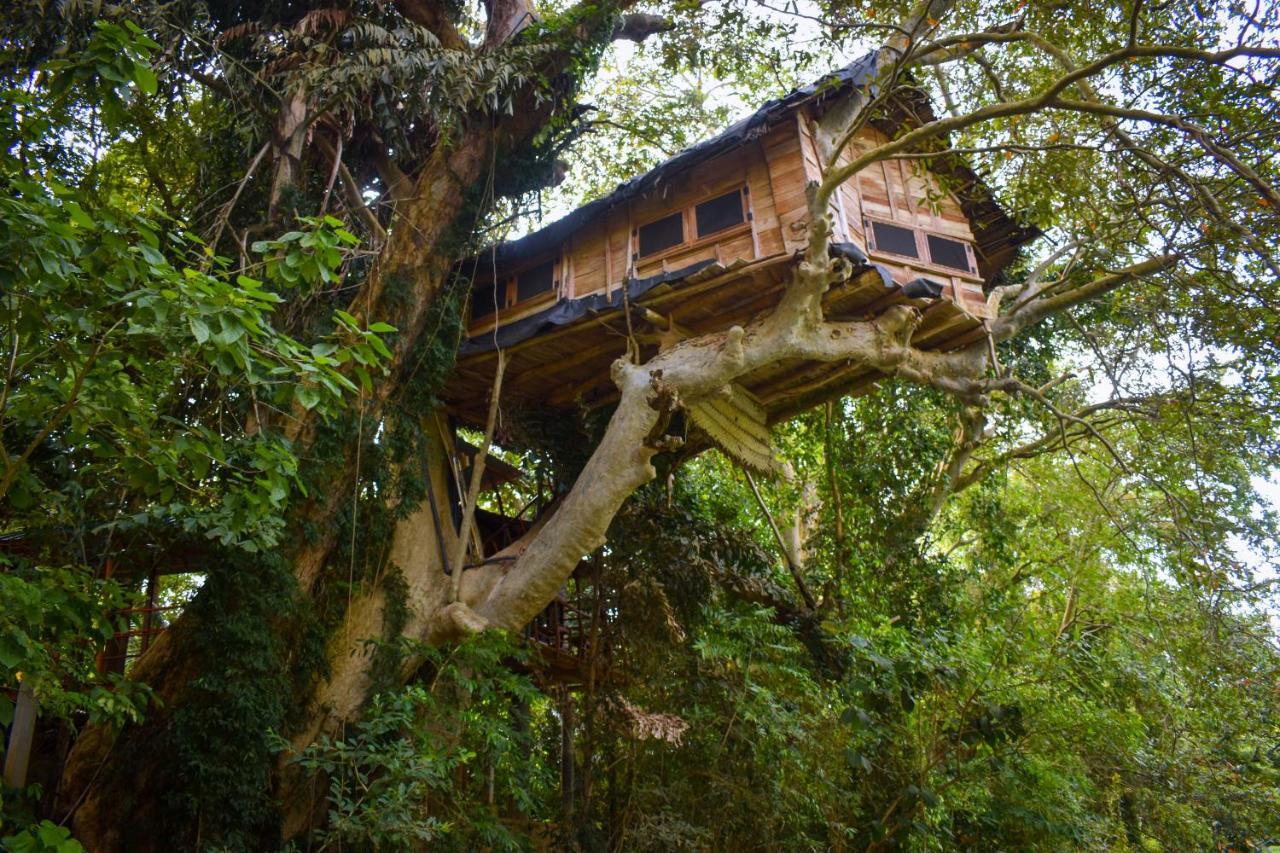 Kumbuk Tree House Villa Tissamaharama Luaran gambar
