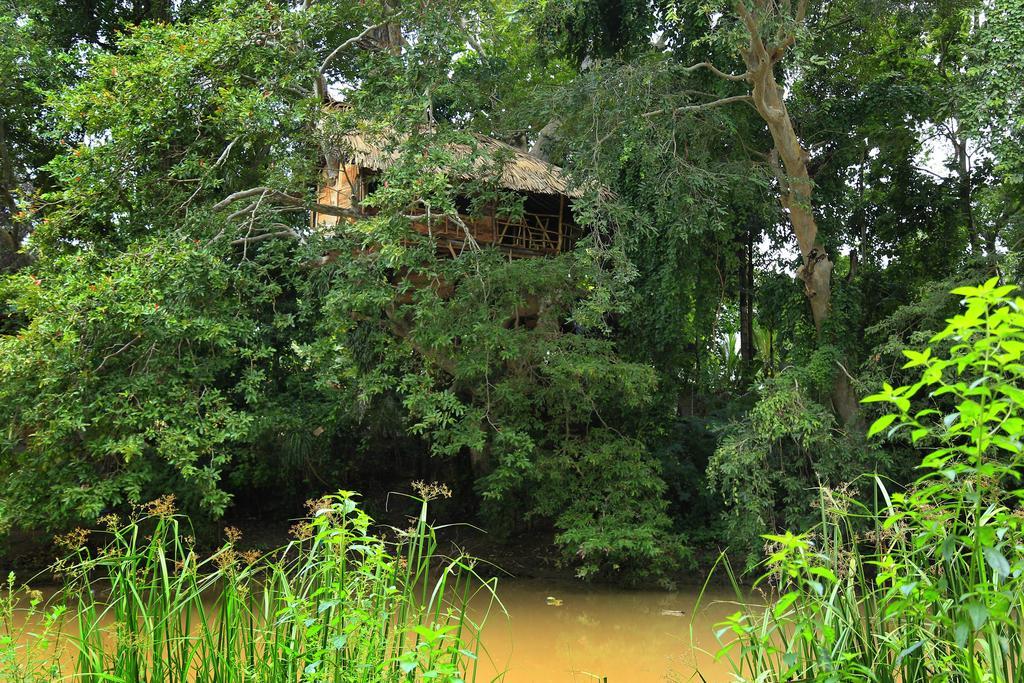 Kumbuk Tree House Villa Tissamaharama Luaran gambar