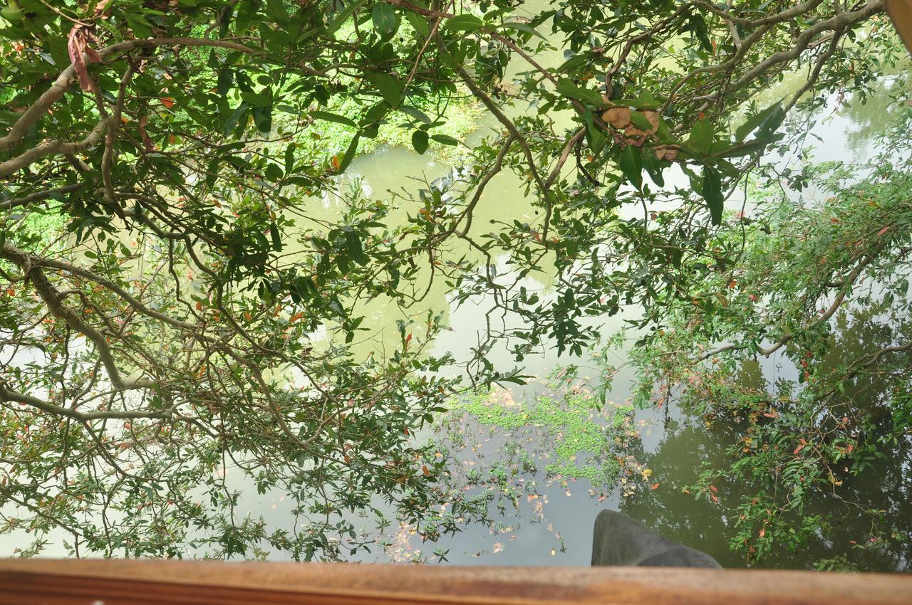 Kumbuk Tree House Villa Tissamaharama Luaran gambar