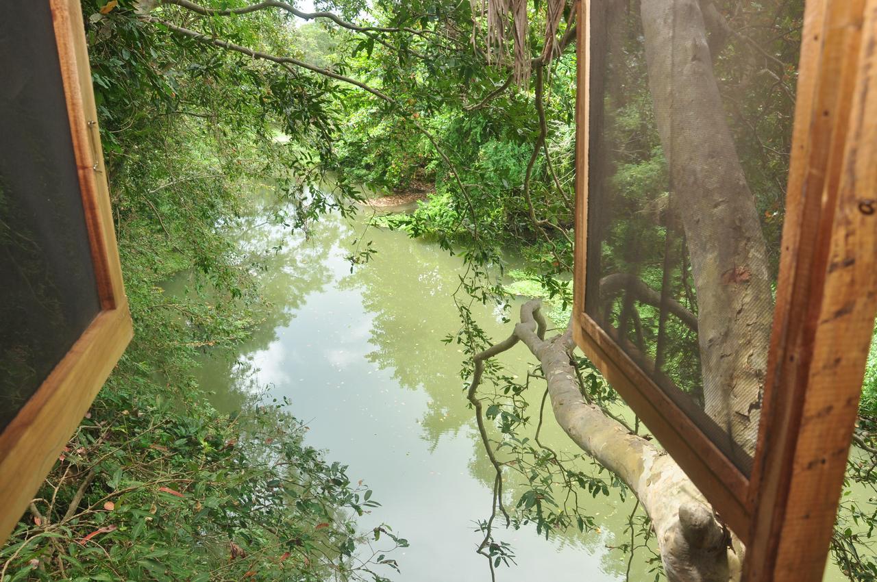 Kumbuk Tree House Villa Tissamaharama Luaran gambar