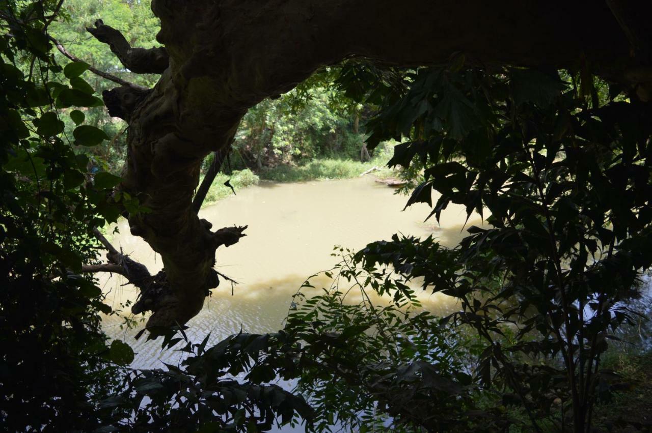 Kumbuk Tree House Villa Tissamaharama Luaran gambar