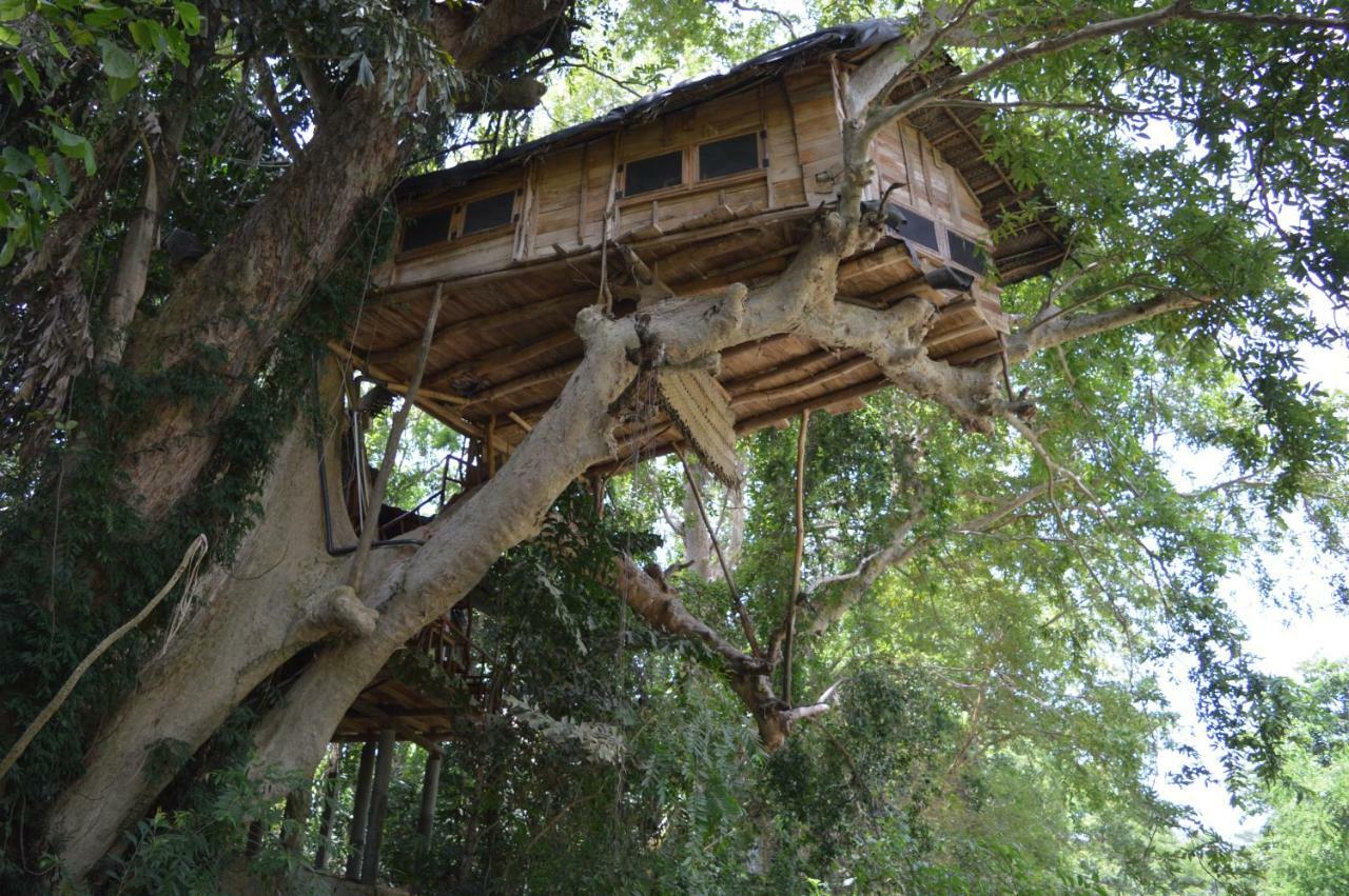 Kumbuk Tree House Villa Tissamaharama Luaran gambar